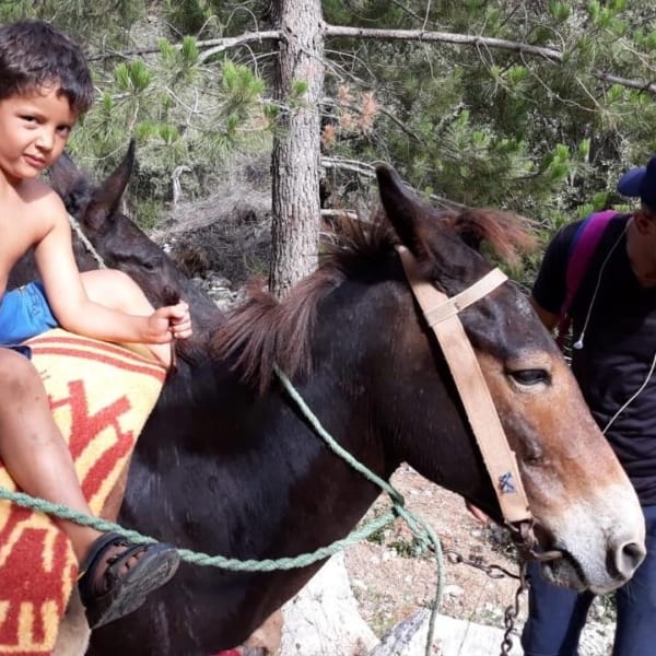 Charif-muilezel-Rif - blog reizen met kinderen
