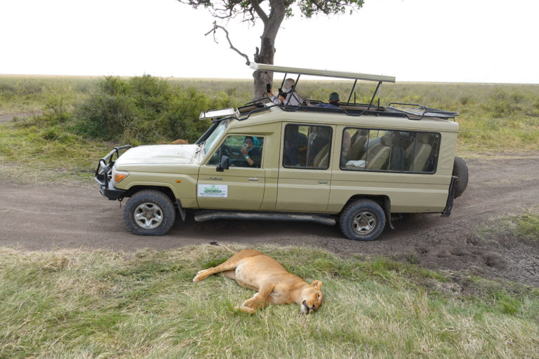 Jeep Safari Tanzania Zanzibar, Safari Tanzania-Zanzibar met het gezin