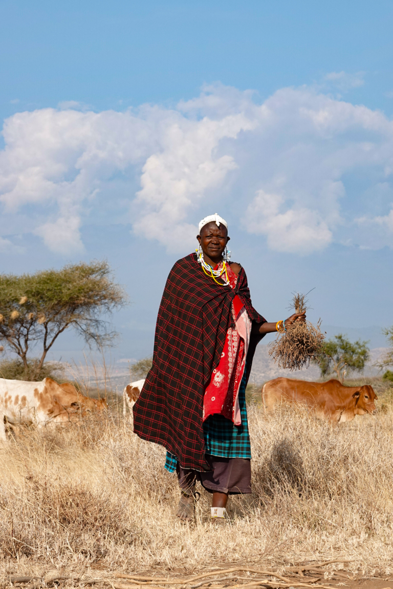 Masaai hoofd - Safari Tanzania Zanzibar