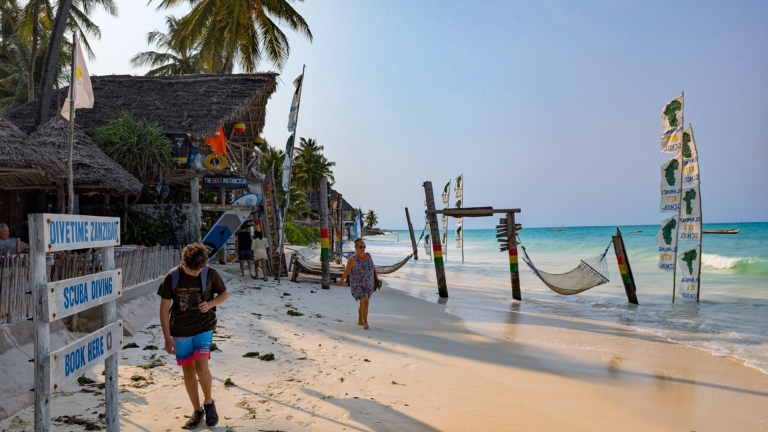 Safari Tanzania-Zanzibar strand